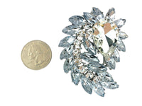 Peacock Train Shaped Rhinestone Burst Brooch Pin - 14 Colors (06233)(2.25x2.5in)